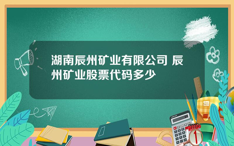 湖南辰州矿业有限公司 辰州矿业股票代码多少